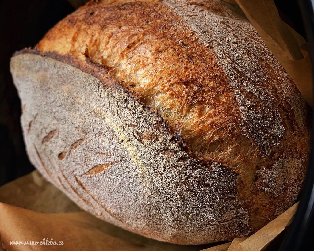 Jak dlouho se peče chleba v troubě?